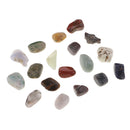 DIY Micro Bonsai Garden Fish Tank Decor Natural Rock 18 Kinds Colors Rocks