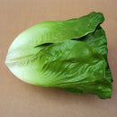 2pc Imitation Vegetables Cabbage& Lettuce Store Cabinet Display Food-