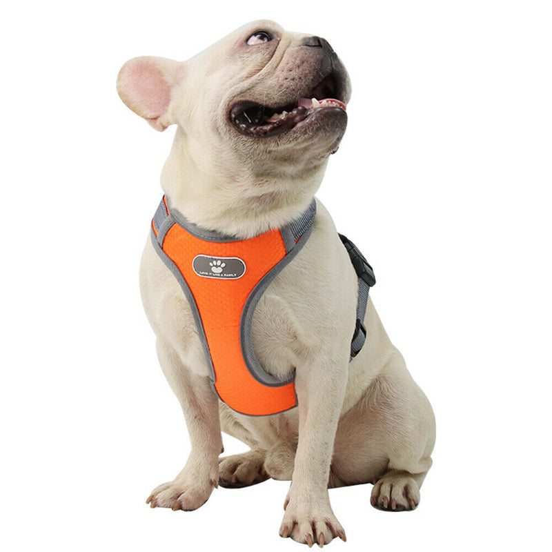 Reflective Vest Dog Chest Strap Breathable Pet Harness Leash Set (Orange M) A