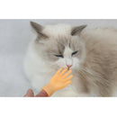 Tiny Hand Finger Puppets Fingertip Prank Toys Hand for Game Party Props