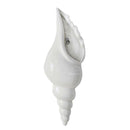 Porcelain Spiral Shell Wall Flower Vase Hydroponics Holder, Wall Mounted