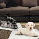 Pet self heat preservation pad does not use electricity / can be clean_