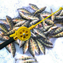 1pc Ice Fishing Rod Trackle Winter Fly Fishing Ice Fishing Tackle Accessor BX