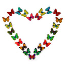 50X Mixed Color Butterfly Insect Wooden Buttons 2 Holes Scrapbooking BX