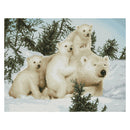 Printed Cross Stitch Kits DIY Animals 11CT Stamped Needlework (JL034)