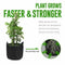 Plant Grow Bags,4 Pack 5 Gallons Non-woven Flower Vegetables Plant Aeration U7U4