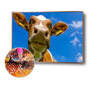 Full Drill Rhinestone Picture DIY Animals Diamond Painting Poster (LD627)