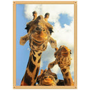 5D DIY Full Drill Diamond Painting Cross Stitch Embroidery (Giraffe-k569)