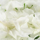Artificial Hydrangea Flower 5 Big Heads Bouquet (Diameter 7" each head) Cre F6U7