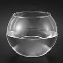 Round Sphere Vase in Transparent Glass Fish Tank W1S7