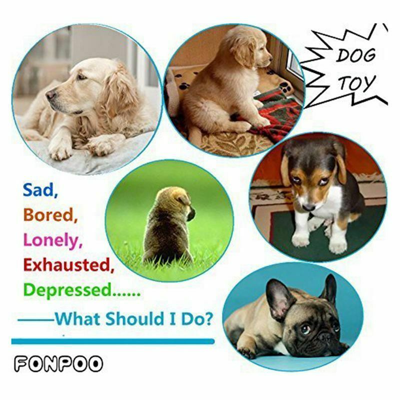 1X(Indestructible Dog Toys For Aggressive Chewers 100% Safe Best Small Medi