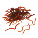 50 Pieces Brown Bionics Lifelike Soft Earthworm Artificial Bait simulation Vivid