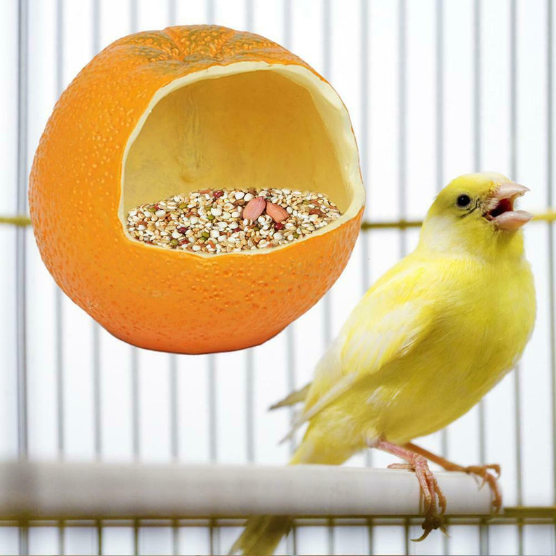 Pet Hamster Bird Pet Parrot FRUIT Feeding Bowl Cage Hanging Fixed Food Feeder