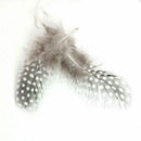 High Quality Guinea Fowl Feather 100PCS Christmas Wedding Home Decor DIY XVD