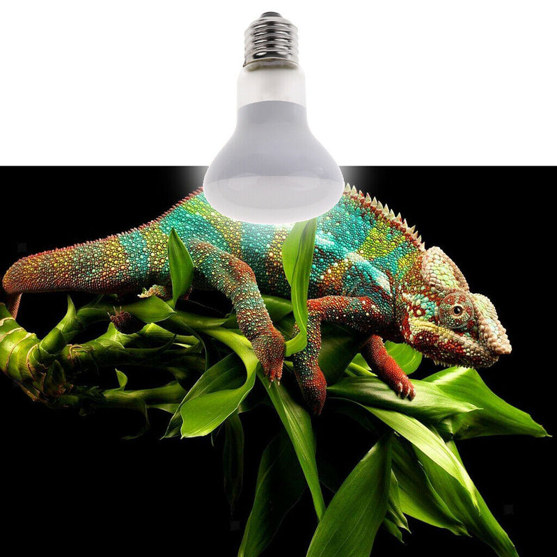 E27 UVA Heater Reptile Heat Basking Lamp Moonlight Bulb 220-240V 75W