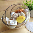 100g Fish Tank Beach Nautical DIY Mixed Sea Shells For Aquarium Craft Decor Intr