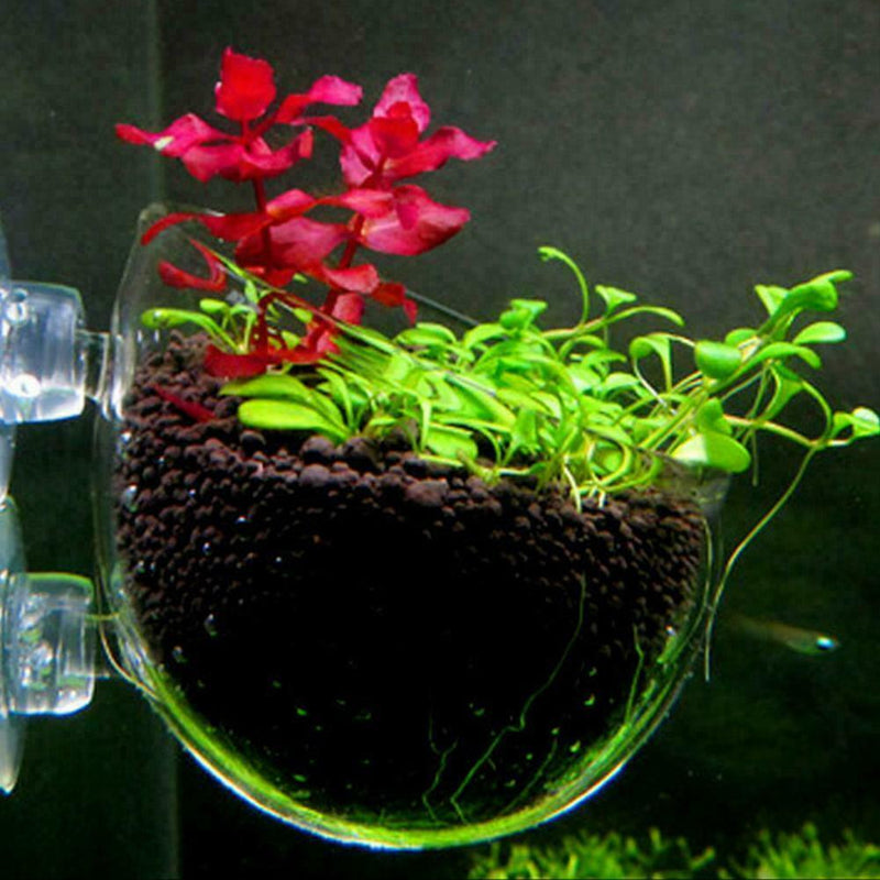 Microcosmic Shrimp Aquarium Tank aquatic Crystal Glass Pot Plant Cute Decor L3E5