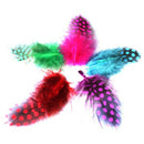 50pcs Mixed Color Simulation feather S7X1