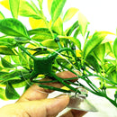 2x Reptile Vivarium Decoration Aquarium Ornament Artificial Ivy Vines 30cm/50cm