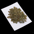 20 Pieces Green Natural Dried Flowers Pressed Leaf Leaves Thalictrum Plants
