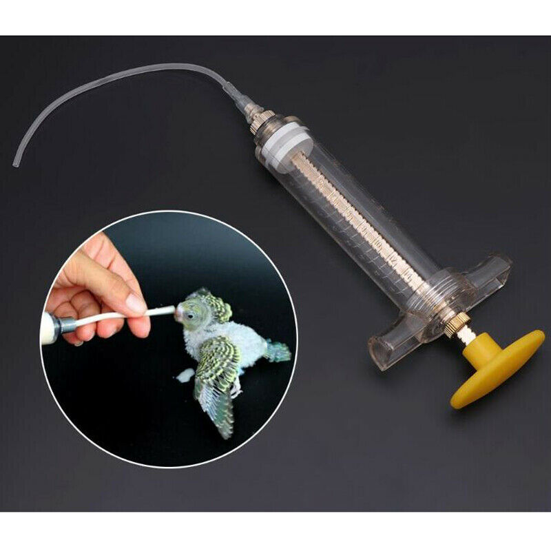 10ml Parrot Chick Feeder Copper Head Syringe Hose Birds Feeding Syringe Injec BX