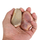 1.1 Pounds Pure Natural Ocean Jasper Stone Mixture(500g)