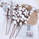 Naturally Dried Cotton Stems Artificial Flower Floral Decor Valentines L_XR3C