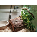 Set of 5 Reptile Plastic Plants Decorative Water Grass For Reptile   Tank