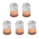 Pack of 5Pcs Mini Clear Glass Hemisphere Dome Cover Shade with Wooden Cork