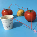 1 Set Children Bio Energy Science Kit Fruit Supply Electricity Experiments T -Q