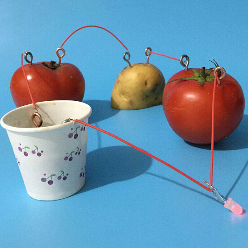 1 Set Children Bio Energy Science Kit Fruit Supply Electricity Experiments T -Q