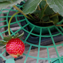 Strawberry Stand Holder Balcony Planting Rack Fruit Flower Climbing Vine Gar Gw