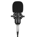 Bm800 Condenser Microphone Studio Sound Recording Broadcasting With Shock M