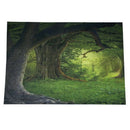 7x5ft Jungle Tour Vinyl Photography Backdrop Photo Background Studio Prop S2P2