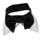 Adjustable Pet Dog Collar Special Designed Collars for Dogs Cats White L