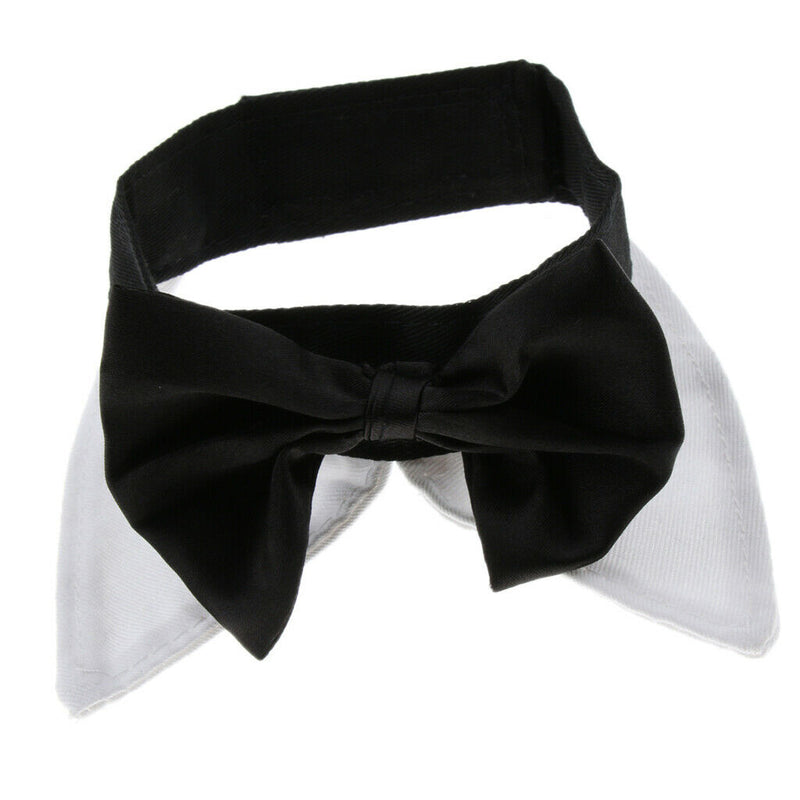 Adjustable Pet Dog Collar Special Designed Collars for Dogs Cats White L