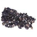 100g Black Onyx Birthstone Gemini Lucky Talisman Healing Treatment