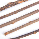 5x Cat cleaning teeth silvervine actinidia cat snacks sticks tooth care JR