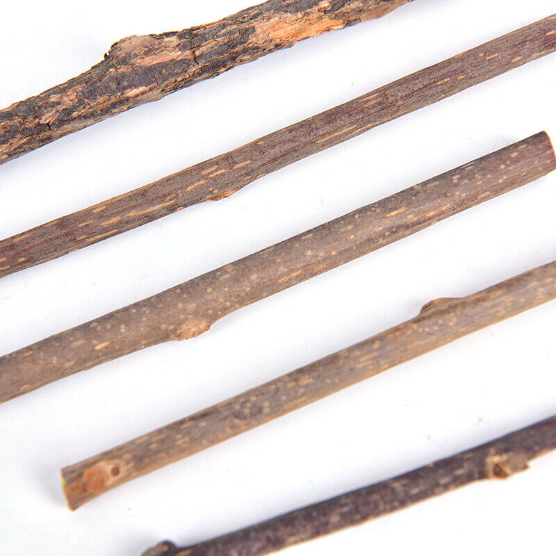 5x Cat cleaning teeth silvervine actinidia cat snacks sticks tooth care JR