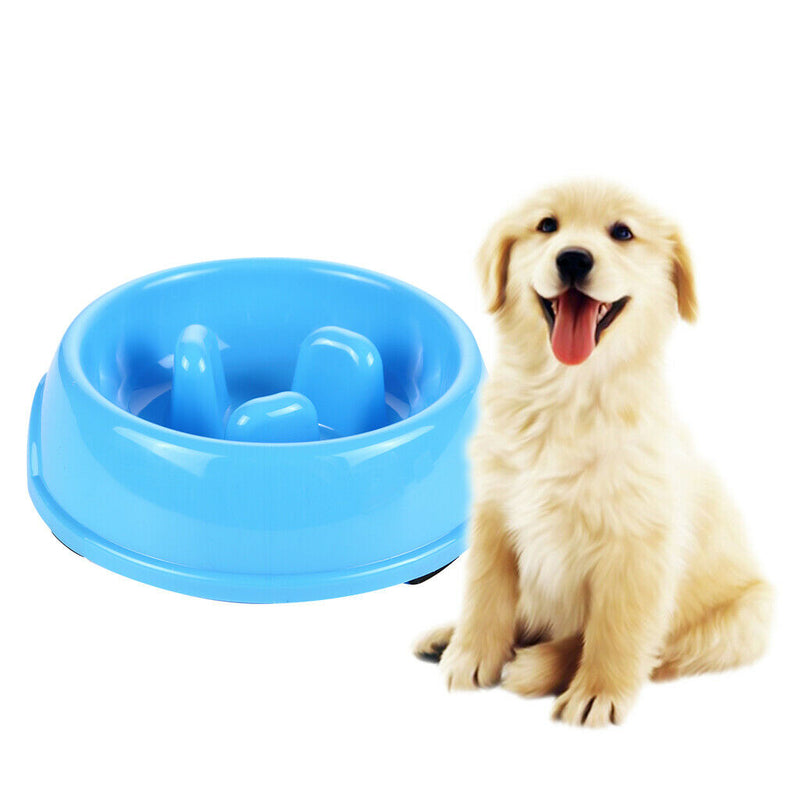 Interactive Dog Slow Feeder Anti-gulping Bowl Non Slip Food Maze--Blue
