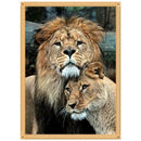 5D DIY Full Drill Diamond Painting Animal Tiger Cross Stitch Kits (K510)