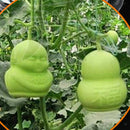 Set Of 4 Fruit Shaping Mold Garden  Pear Peach Growth Forming Mold Tool