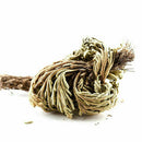 Rose of Jericho Dinosaur Plant Air Fern Spike Moss Live Resurrection House B6K5