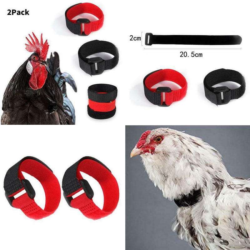 12pcs Rooster Collar Anti Crow Prevent Chicken from Screaming for Duck