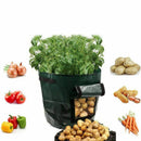 Potato Grow Bags 7 Gallon Garden Vegetables Planter Bags with Handles and A