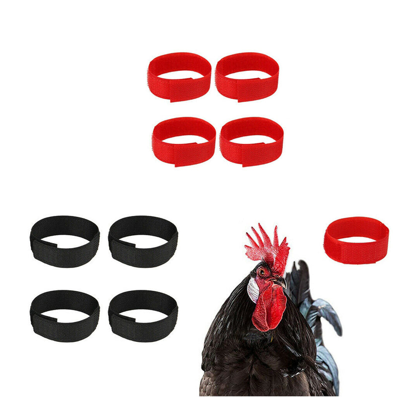 Pack of 15 No-Crow Rooster Collar (18x2cm/ Black Colors)