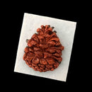 Silicone XMAS Pine Nut Fondant Cake Sugarcraft Mould Baking Chocolate Tool V3Z9