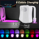Motion Sensor LED 8 Colors Toilet Bowl Night Light Seat Lamp Kids Bathroom Safe