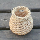 Willow Door Of Safe Storage Pen Holder For Ranger Pencils Pens Writing Brus Z5B4