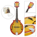 Durable Mandolin String Accessory Replacement Copper Alloy Wound Set Of 4